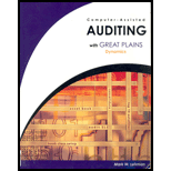 Computer Assisted Auditing / With CD