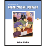 Fundamentals of Organizational Behavior