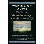 Waking up, Alive  The Descent, the Suicide Attempt, and the Return to Life