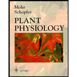 Plant Physiology