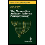 Mammalian Auditory Pathway