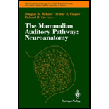 Mammalian Auditory Pathway