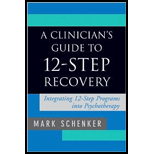 Clinicians Guide to 12 Step Recovery