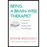 Being a Brain Wise Therapist A Practical Guide to Interpersonal Neurobiology