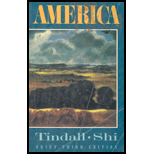 America : A Narrative History, Brief -  George Brown Tindall and David E. Shi, Paperback