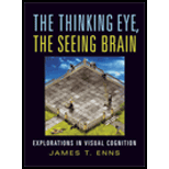 Thinking Eye, Seeing Brain  Explorations in Visual Cognition