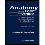 Anatomy of the Foot and Ankle  Descriptive, Topographic, Functional