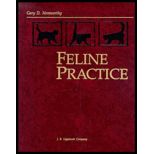 Current Feline Practice