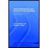 Small Enterprises and Economic Development