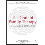 Craft of Family Therapy Challenging Certainties