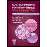 Wheater`s Functional Histology (ISBN10 044306850X; ISBN13 