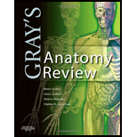 Grays Anatomy Review