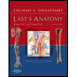 Lasts Anatomy  Regional and Applied