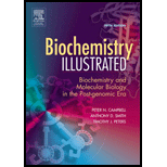 Biochemistry Illustrated