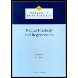 Neural Plasticity and Regeneration