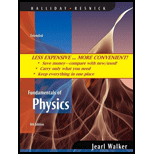 Fundamentals of Physics (Looseleaf)