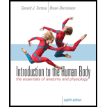 Introduction to the Human Body