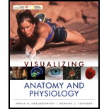 Visualizing Anatomy and Physiology