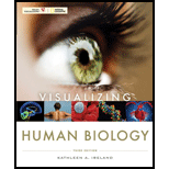 Visualizing Human Biology