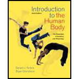 Introduction to Human Body