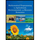 Mathematical Programming