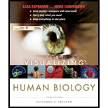 Visualizing Human Biology (Looseleaf)