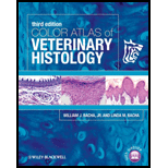 Color Atlas of Veterinary Histology