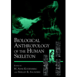 Biological Anthropology of the Human Skeleton