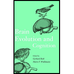 Brain Evolution and Congnition