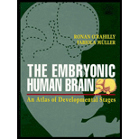 Embryonic Human Brain  An Atlas of Developmental Stages