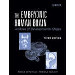 Embryonic Human Brain  An Atlas Of Developmental Stages