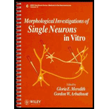 Morphological Investment of Single