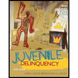 Juvenile Delinquency  The Core