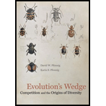 Evolutions Wedge Competition and the Origins of Diversity