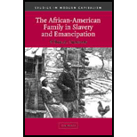 African American Family in Slavery and Emancipation