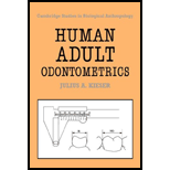 Human Adult Odontometrics