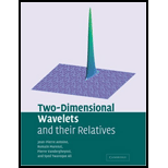 Two Dimensional Wavelets and Their Relative