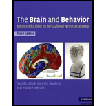 Brain and Behavior