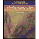 Cambridge Illustrated History of Prehistoric Art