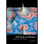 Wavelets in Physics