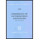 Cohomology of Vector Bundles and Syzygies