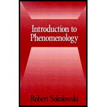 Introduction to Phenomenology