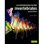 Introduction to Invertebrates