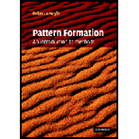 Pattern Formation