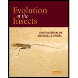 Evolution of the Insects