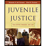 Juvenile Justice The System, Process and Law