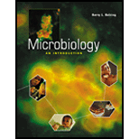 Microbiology  An Introduction / With CD ROM