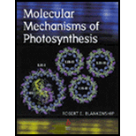 Molecular Mechanisms of Photosynthesis