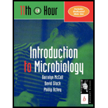 11th Hour Introduction to Microbiology