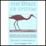 Spirit of System